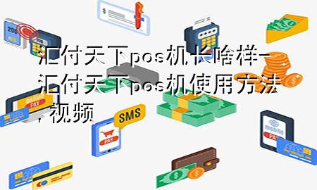 汇付天下pos机长啥样-汇付天下pos机使用方法,视频